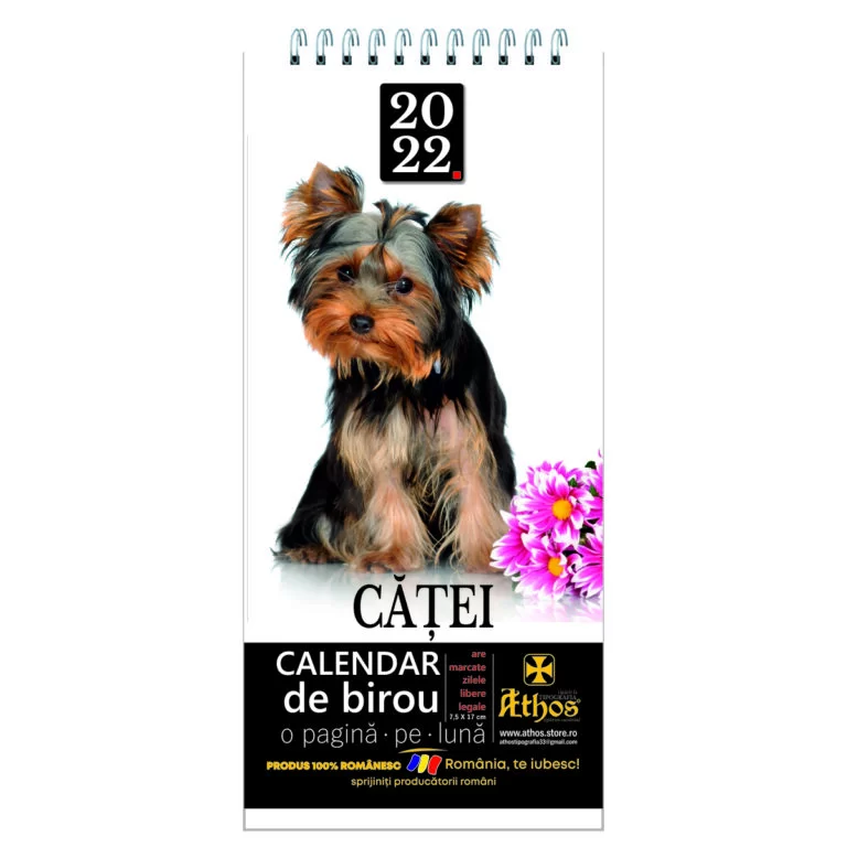 calendar-mic-birou-catei-1-768x768