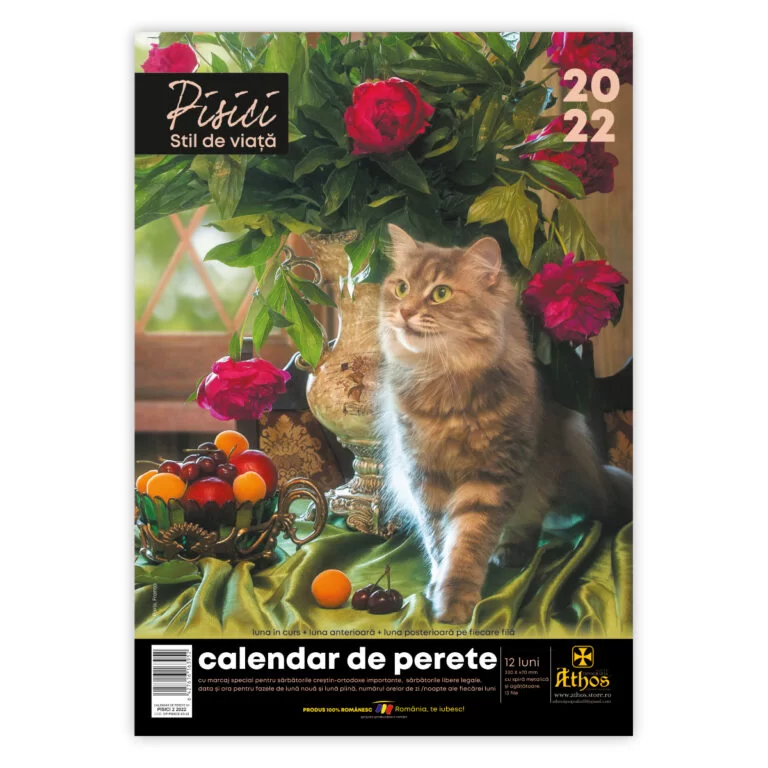 calendar-perete-pisici-stil-viata-01-1-768x768
